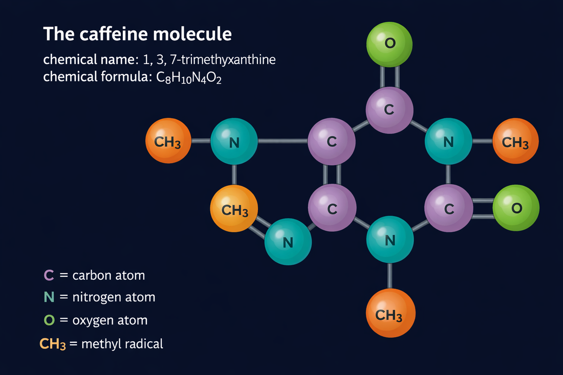 Natural vs Synthetic Caffeine Drinks