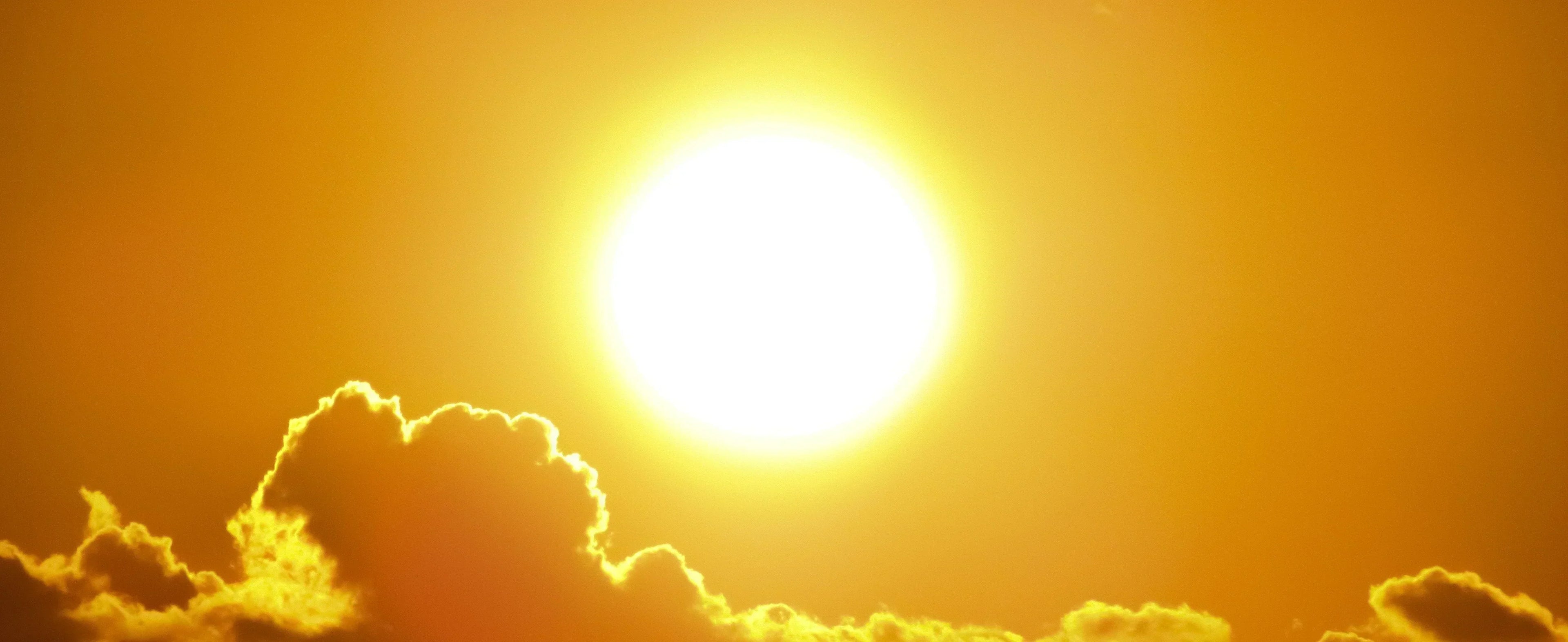 training in a heatwave